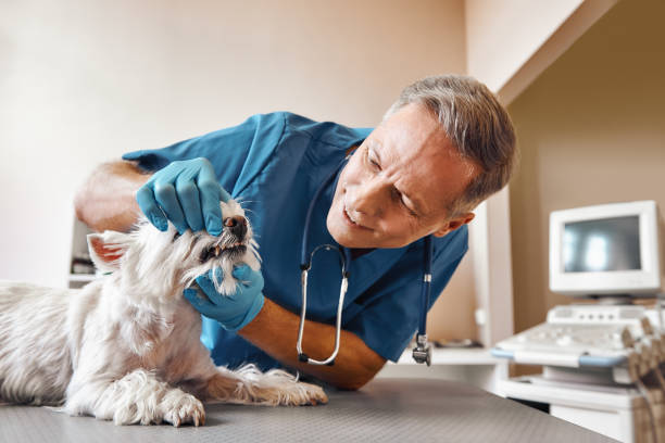 Best Emergency Treatment for Oral Infections in Aransas Pass, TX